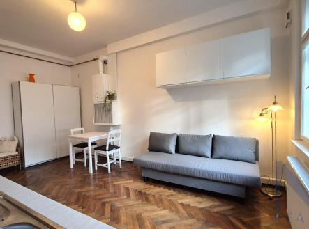 20250804_195242.jpg | Pronájem bytu, 1+kk, 20 m²