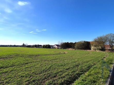 20260402_165919.jpg | Prodej - pozemek, zemědělská půda, 6 296 m²