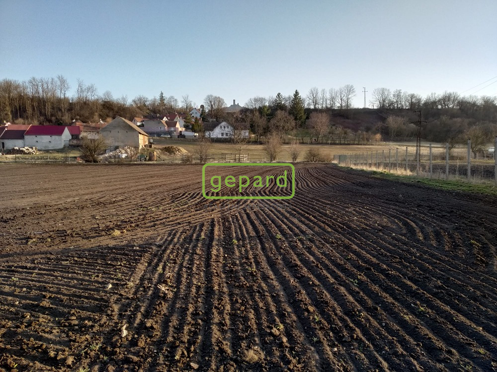 foto-2.jpeg