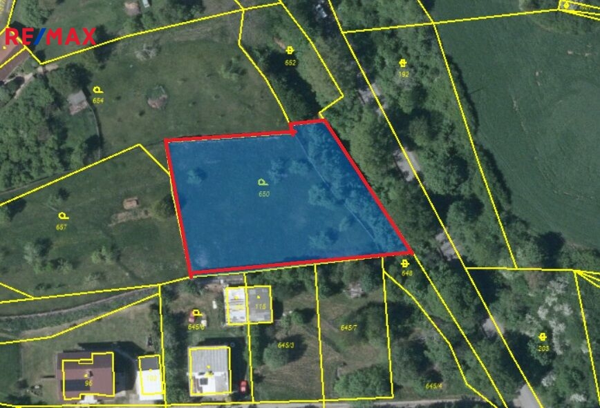 snimek-obrazovky-2025-01-02-092424.jpg