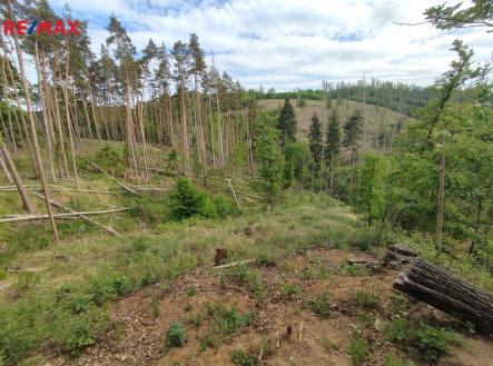 img-20250514-170737.jpg | Prodej - pozemek, les, 1 493 m²