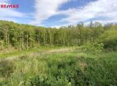 Prodej - pozemek, les, 17 681 m²