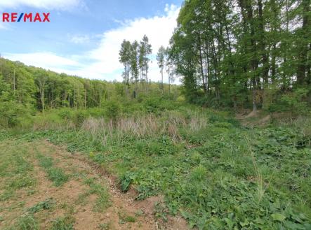 img-20250514-164245.jpg | Prodej - pozemek, les, 17 681 m²