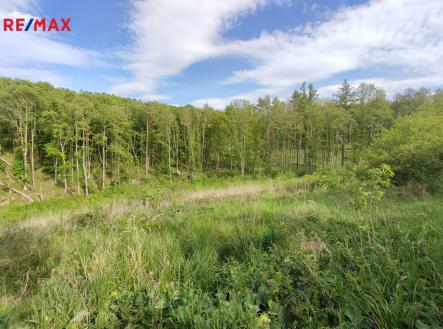 img-20250514-164641.jpg | Prodej - pozemek, les, 17 681 m²