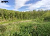 Prodej - pozemek, les, 17 681 m²