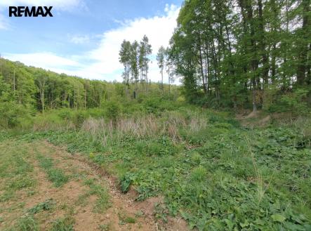 img-20250514-164245.jpg | Prodej - pozemek, les, 17 681 m²