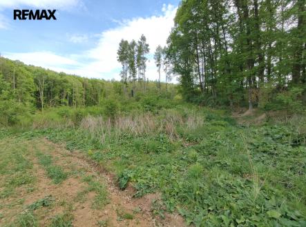 img-20250514-164245.jpg | Prodej - pozemek, les, 17 681 m²