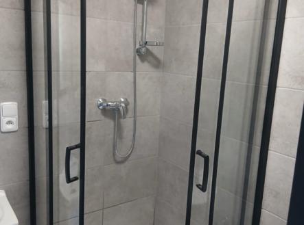 4e9d442e-1691-4723-adbb-f38d7aa58ca0.jpg | Pronájem bytu, 2+1, 56 m²