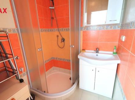 3.jpg | Pronájem bytu, 1+1, 43 m²