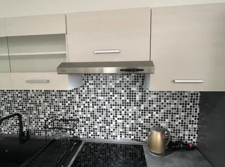 img-0373.jpeg | Pronájem bytu, 1+kk, 45 m²