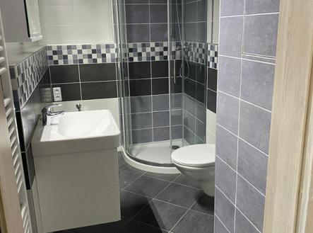 98f27fb9-7fa1-4c3f-93d4-067eccd0311a.jpg | Pronájem bytu, 1+kk, 28 m²
