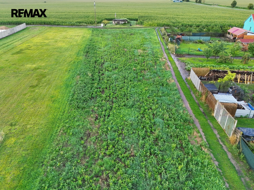 dji-20250803190021-0012-v.jpg