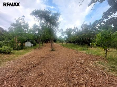 20250602-185338-resized.jpeg | Prodej - pozemek pro bydlení, 1 872 m²