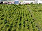 Prodej - pozemek pro komerční výstavbu, 2 465 m²