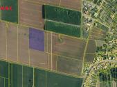Prodej - pozemek, zemědělská půda, 14 681 m²