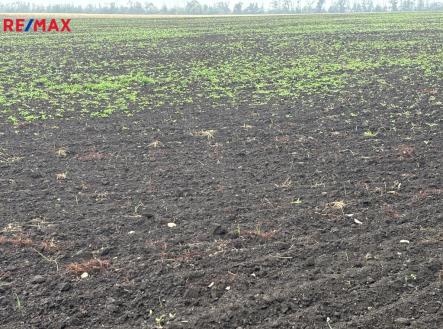 img-2979.jpg | Prodej - pozemek, zemědělská půda, 14 681 m²