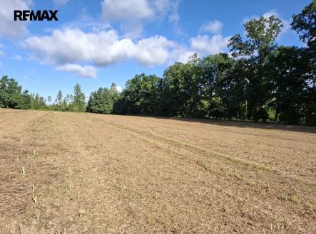 Pozemek parc. č. 33/1 | Prodej - pozemek, zemědělská půda, 29 662 m²