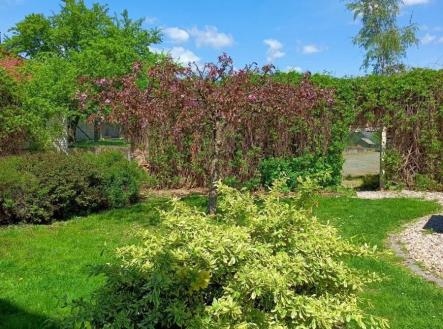 img-3618.jpeg | Prodej - hotel, 700 m²