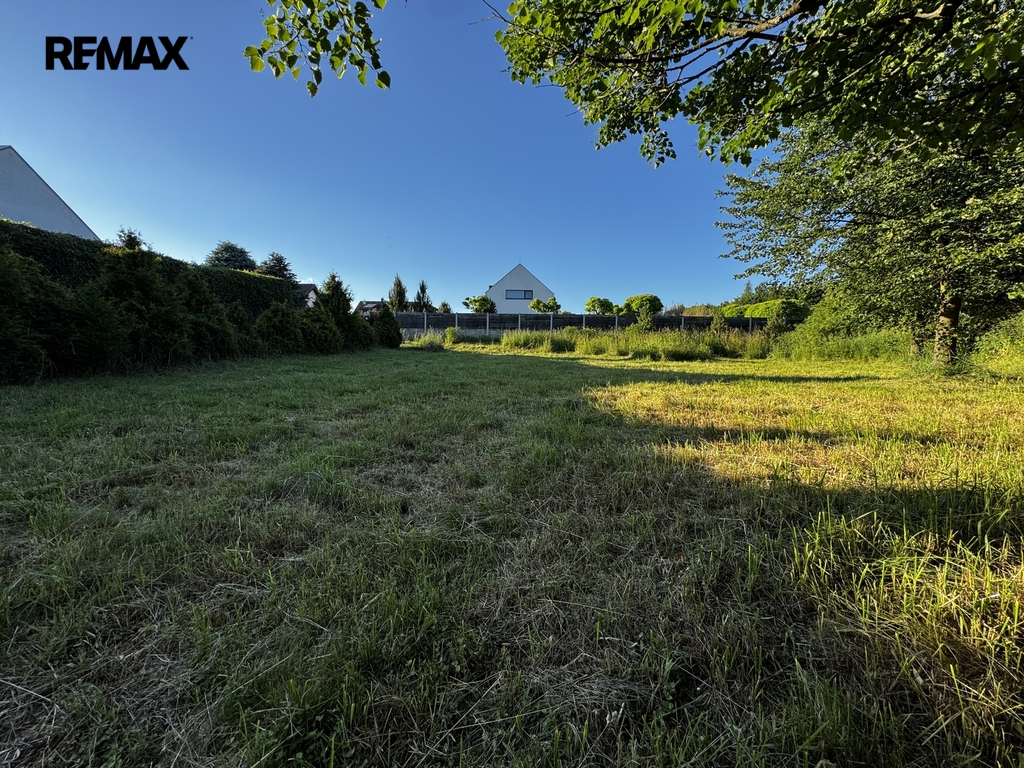 img-8085.jpg