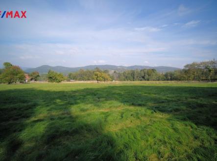 Pohled k silnici, obec v levé části | Prodej - pozemek, trvalý travní porost, 15 612 m²