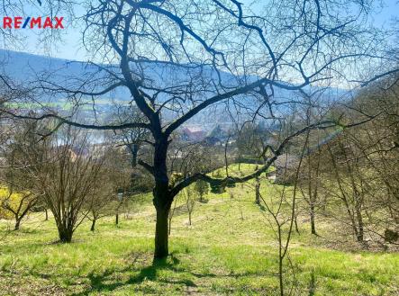 4.jpg | Prodej - pozemek, zahrada, 3 807 m²