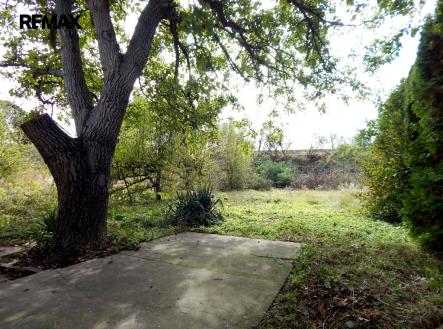 dscn7177ok.jpg | Prodej - pozemek, zahrada, 593 m²