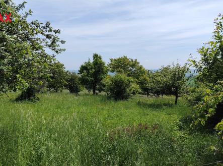 img-20250514-135043.jpg | Prodej - pozemek, ostatní, 6 605 m²