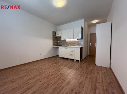 002.jpg | Pronájem bytu, 1+kk, 19 m²