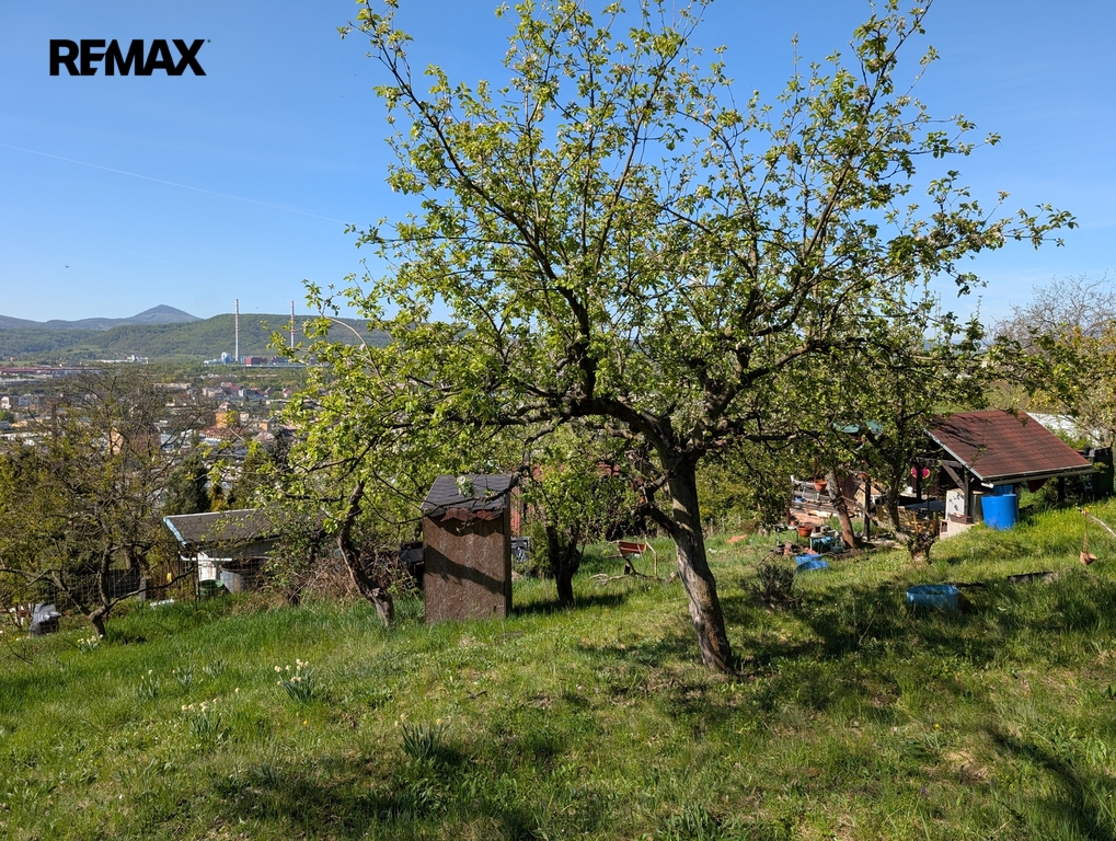 pxl-20260427-082413665.mp.jpg