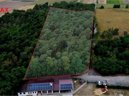 1.jpg | Prodej - pozemek, les, 19 940 m²