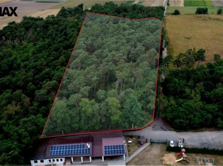 1.jpg | Prodej - pozemek, les, 19 940 m²