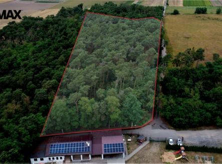 1.jpg | Prodej - pozemek, les, 19 940 m²