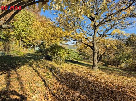 20251021-093350.jpg | Prodej - pozemek, zahrada, 823 m²