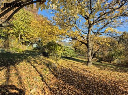 20251021-093350.jpg | Prodej - pozemek, zahrada, 823 m²