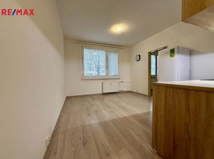 004.jpg | Pronájem bytu, 1+1, 35 m²