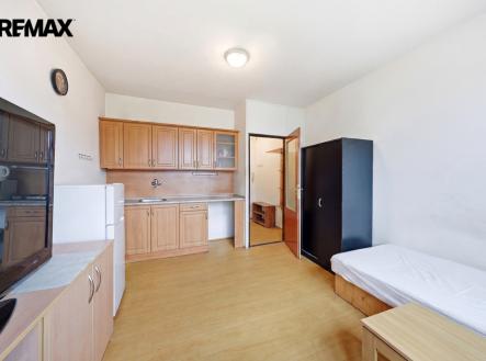 byt-1kk-glennova-usti-nad-labem-remax-reality-michal-vais002.jpg | Prodej bytu, 1+kk, 19 m²