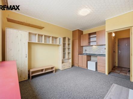 byt-1kk-stara-usti-nad-labem-remax-reality-michal-vais002.jpg | Prodej bytu, 1+kk, 20 m²
