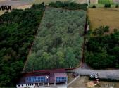 Prodej - pozemek, les, 16 110 m²