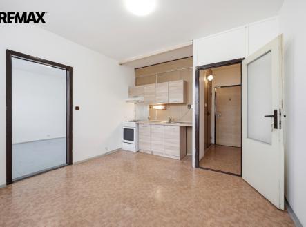 byt-17-listopadu-usti-nad-labem-michal-vais-reality-makler-remax002.jpg | Prodej bytu, 1+1, 33 m²