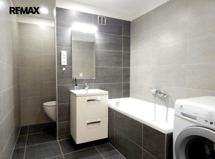 dscn7034nova.jpg | Pronájem bytu, 1+1, 41 m²