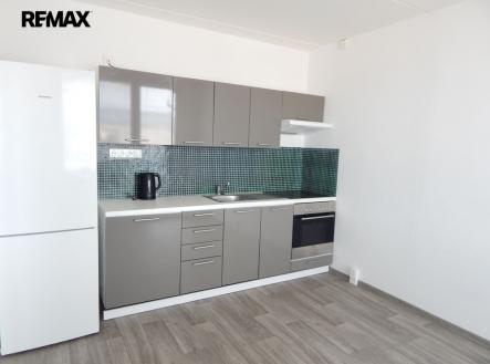 dscn7050nova.jpg | Pronájem bytu, 1+1, 41 m²