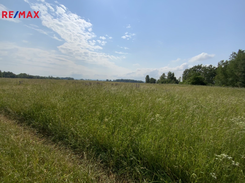 img-9312.jpg