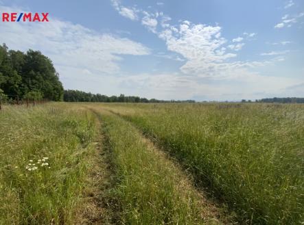 img-9313.jpg | Prodej - pozemek, trvalý travní porost, 107 498 m²