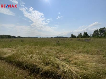 img-9314.jpg | Prodej - pozemek, trvalý travní porost, 107 498 m²