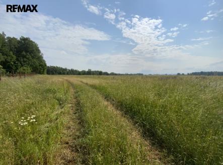 img-9313.jpg | Prodej - pozemek, trvalý travní porost, 107 498 m²