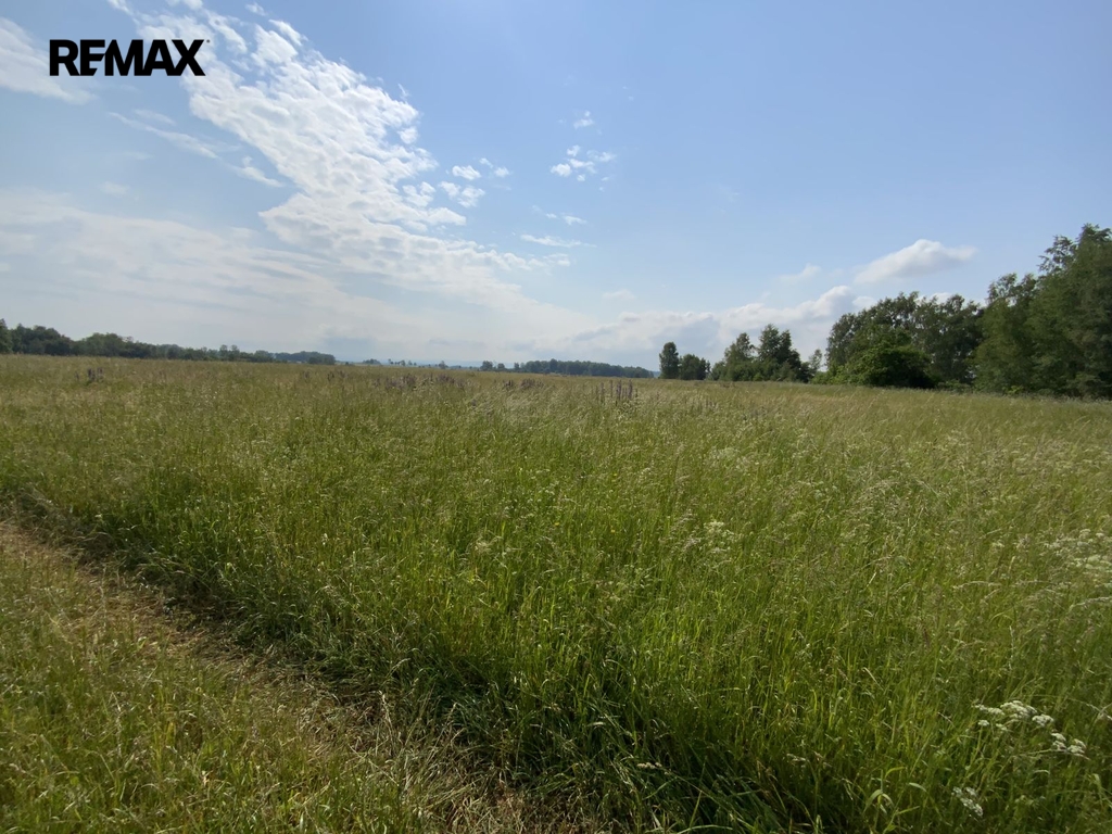 img-9312.jpg