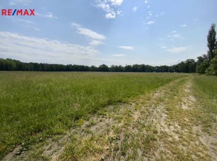 img-9322.jpg | Prodej - pozemek, zemědělská půda, 77 680 m²