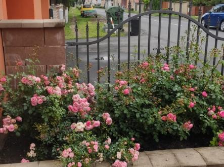 76276ecd-a89a-491d-8eef-3348ff3a6161.jpg | Prodej - dům/vila, 173 m²