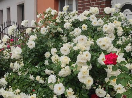 af9627fd-b41e-4679-8713-9f737502439e.jpg | Prodej - dům/vila, 173 m²