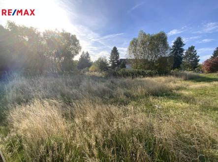 img-0879.jpg | Prodej - pozemek, trvalý travní porost, 2 155 m²